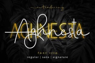 Aghnesta Trio: A Font That Elevates Digital Design
