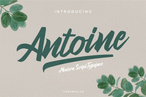 Antoine: A Script Font That Adds Elegance to Every Project