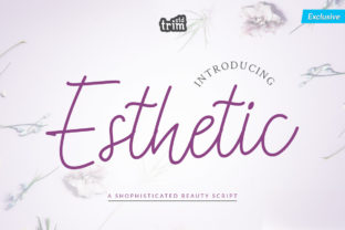 Esthetic: A Script Font That Adds Romance to Branding