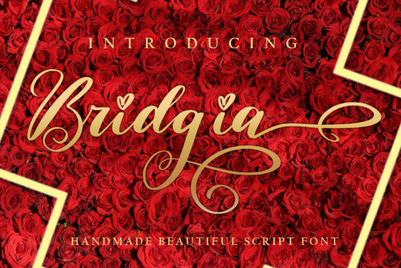 Font Choice That Matters: Bridgia for Campaign Success